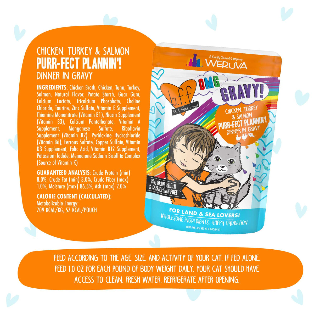 BFF OMG Gravy! Purr-fe Count Plannin&#39; Chicken, Turkey &amp; Salmon Cat Food Pouch