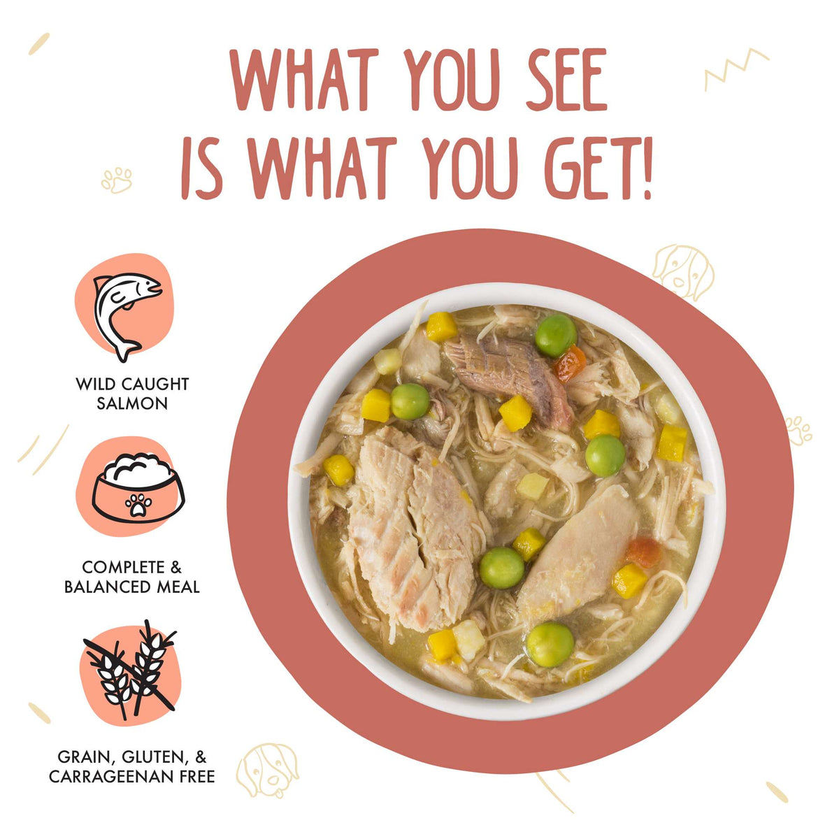 Weruva Jammin&#39; Salmon with Chicken &amp; Salmon in Pumpkin Soup Canned Dog Food