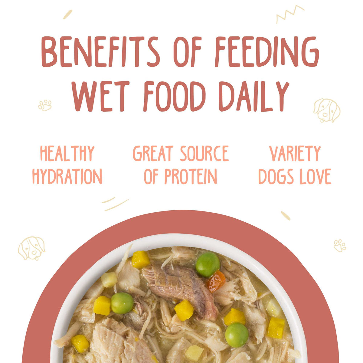 Weruva Jammin&#39; Salmon with Chicken &amp; Salmon in Pumpkin Soup Canned Dog Food