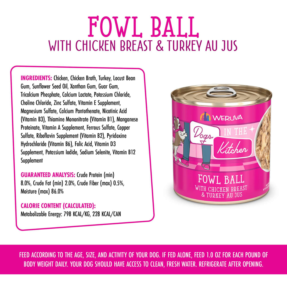 Dogs In The Kitchen Fowl Ball Chicken &amp; Turkey AU JUS Canned Food