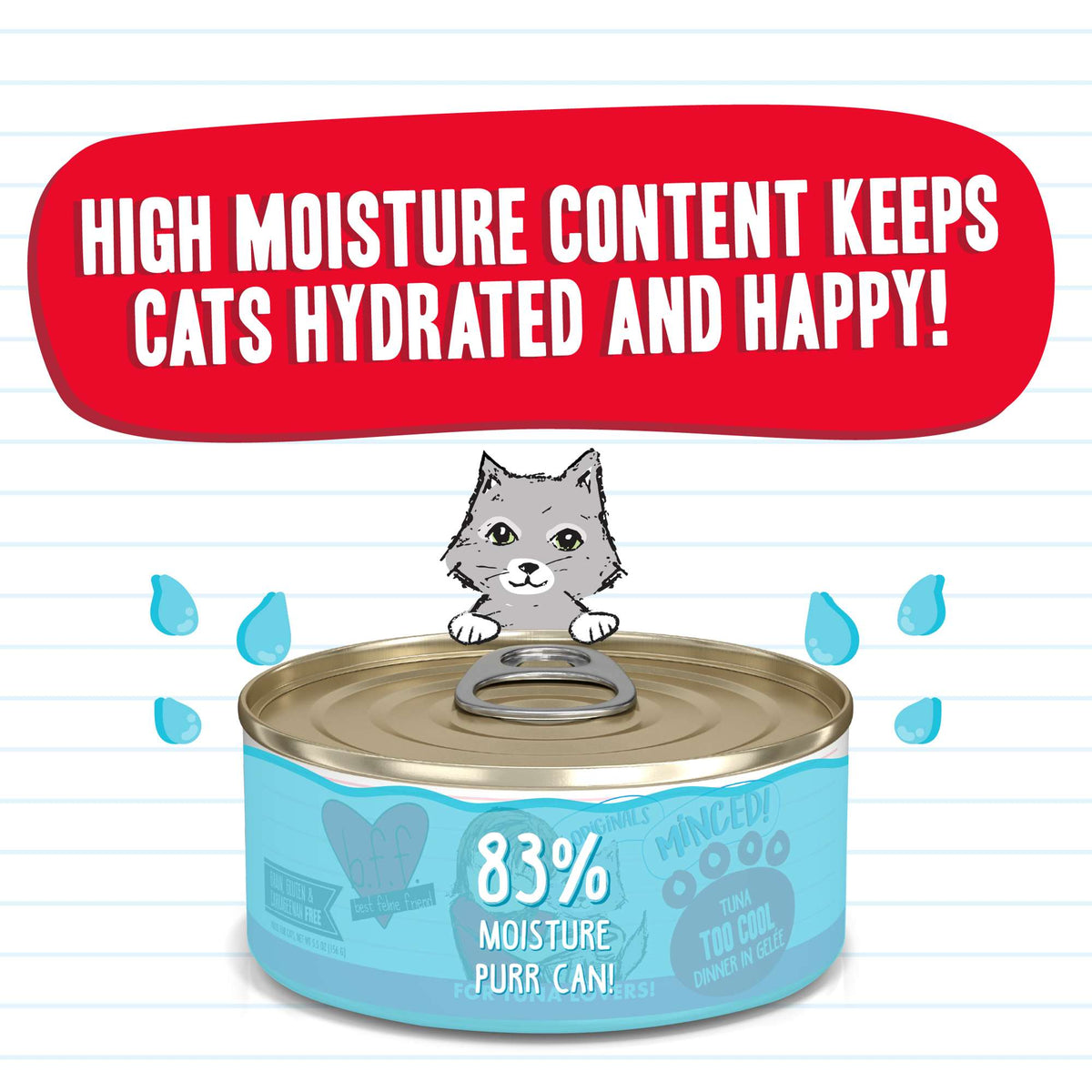 BFF Minced! Too Cool Tuna Canned Cat Food