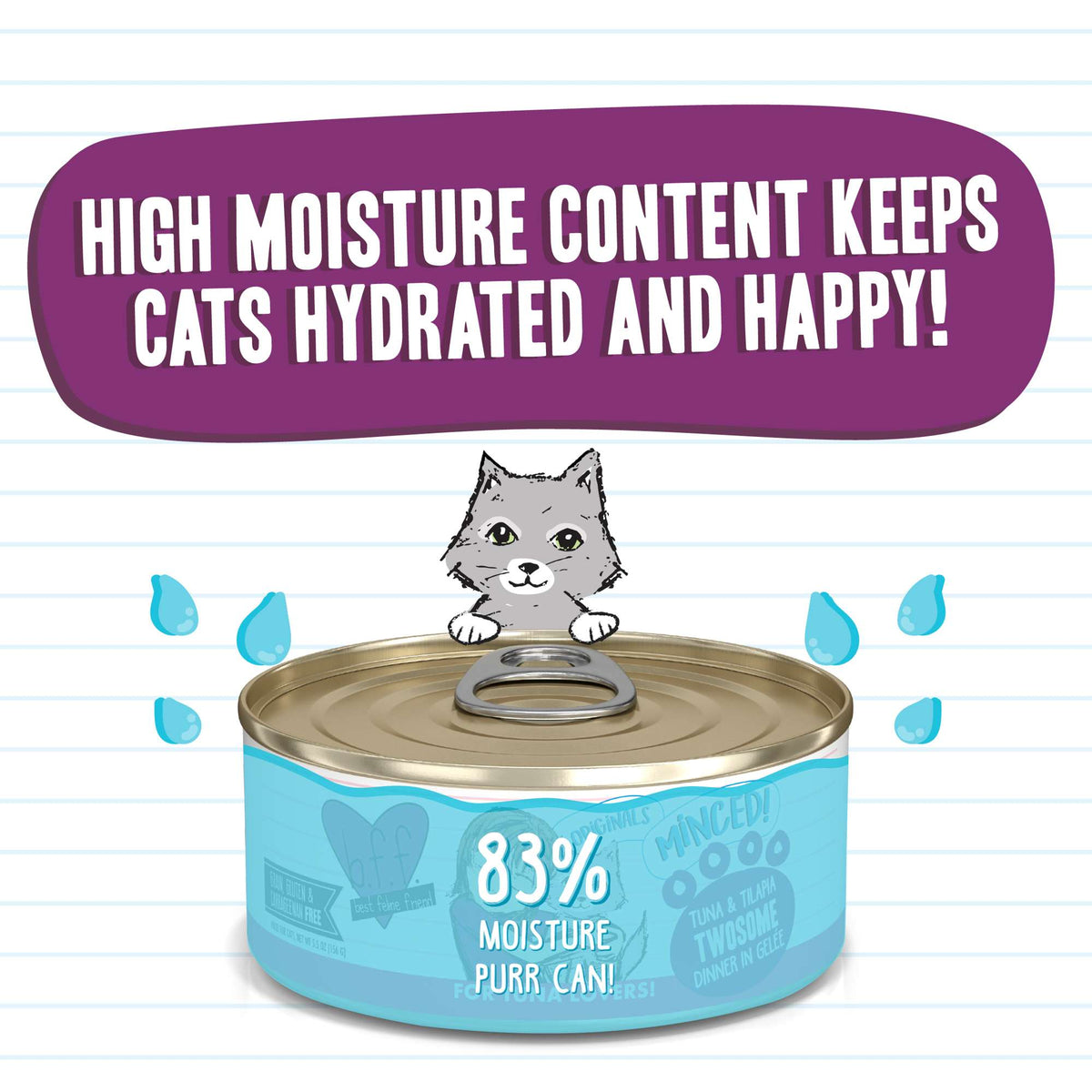 BFF Minced! Twosome Tuna &amp; Tilapia Canned Cat Food
