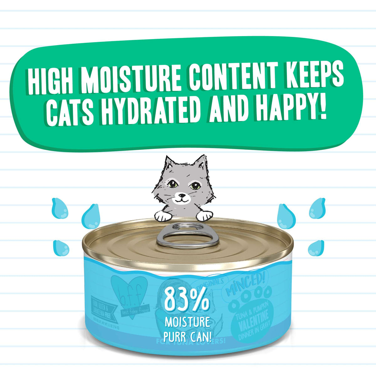 BFF Minced! Valentine Tuna &amp; Pumpkin Canned Cat Food
