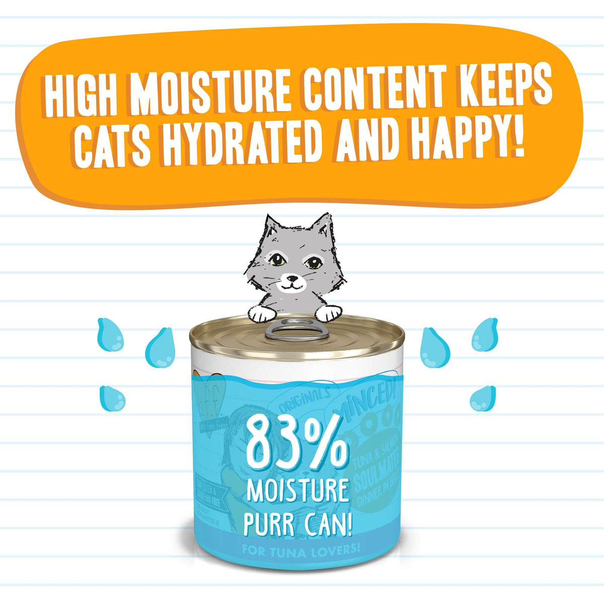 BFF Minced! Soulmates Tuna &amp; Salmon Canned Cat Food