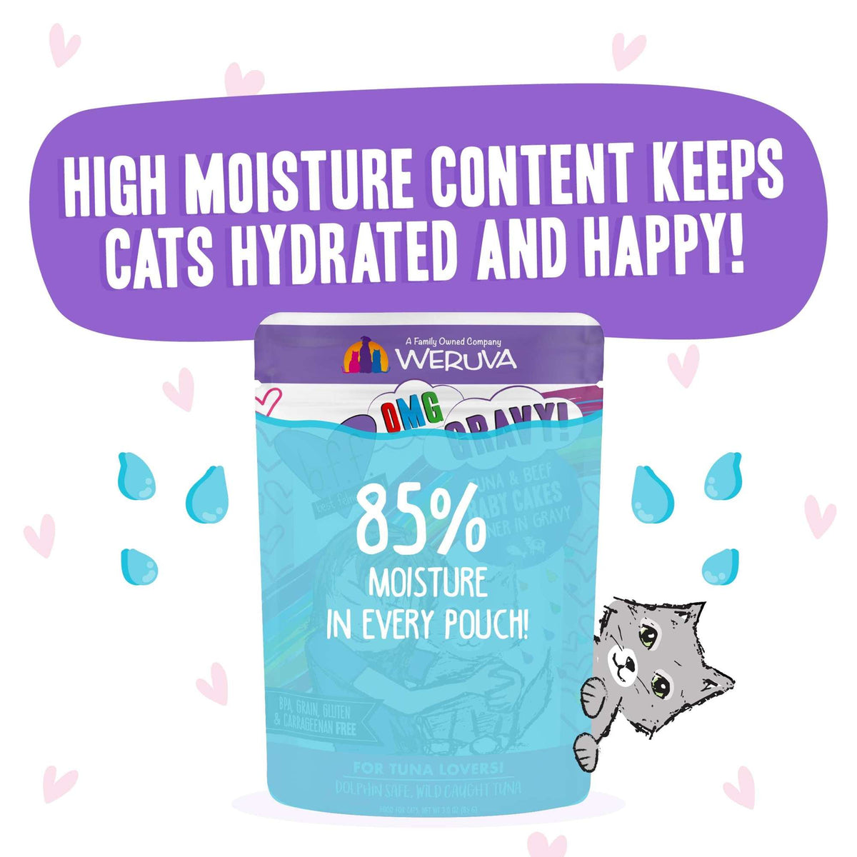 BFF OMG Gravy! Baby Cakes Tuna &amp; Beef Cat Food Pouch
