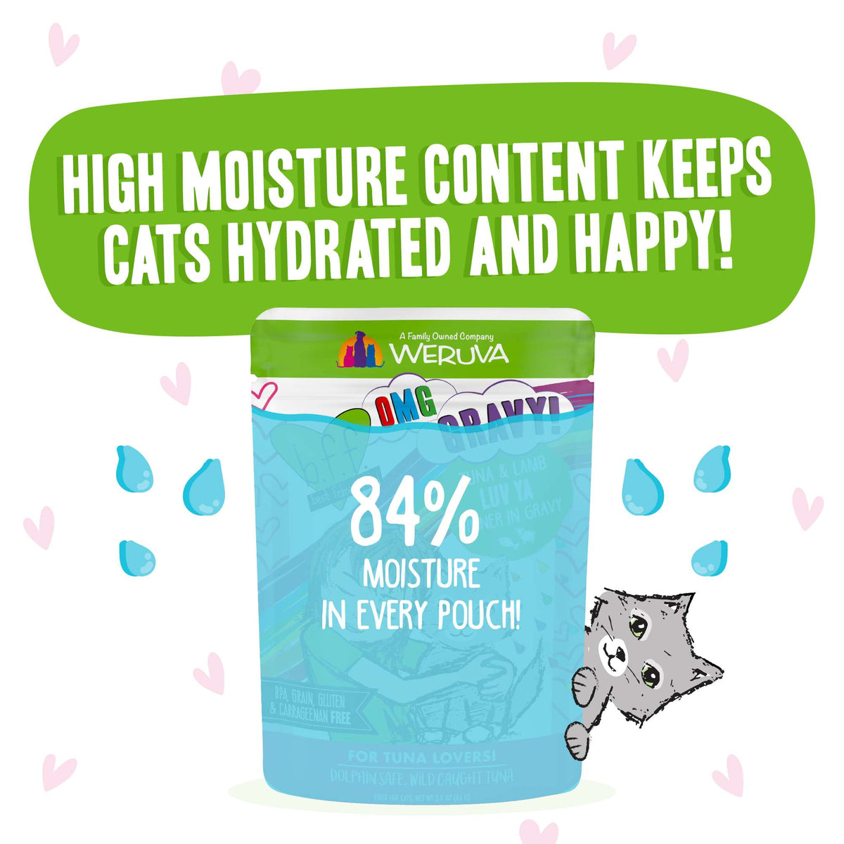 BFF OMG Gravy! Luv Ya Tuna &amp; Lamb Cat Food Pouch
