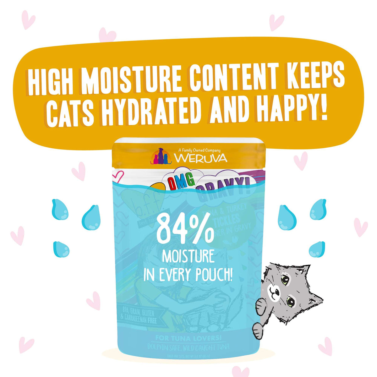 BFF OMG Gravy! Tickles Tuna &amp; Turkey Cat Food Pouch