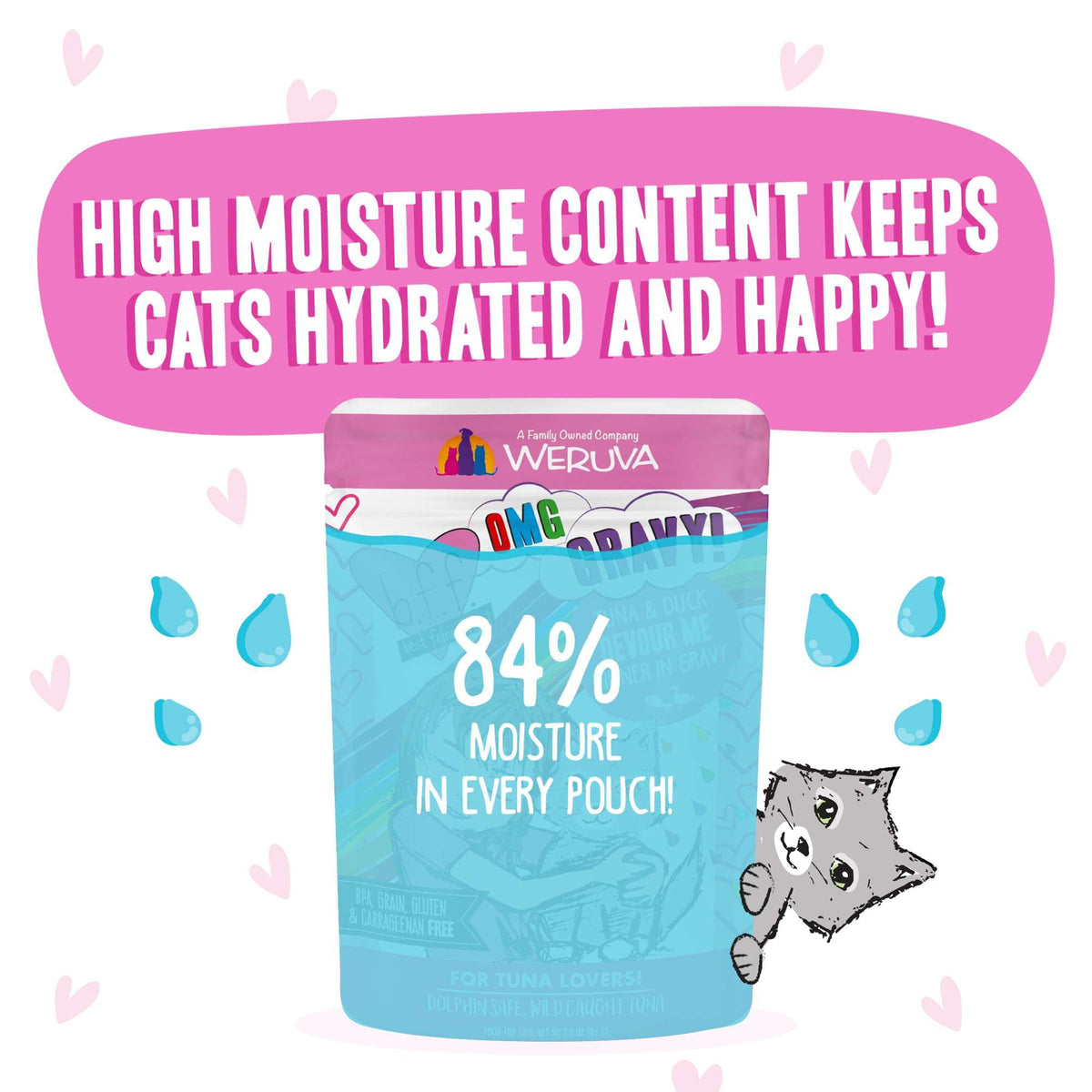 BFF OMG Gravy! Devour Me Tuna &amp; Duck Cat Food Pouch