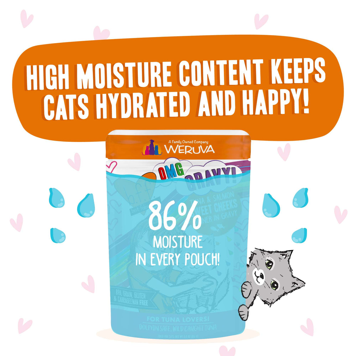 BFF OMG Gravy! Sweet Cheeks Tuna &amp; Salmon Cat Food Pouch