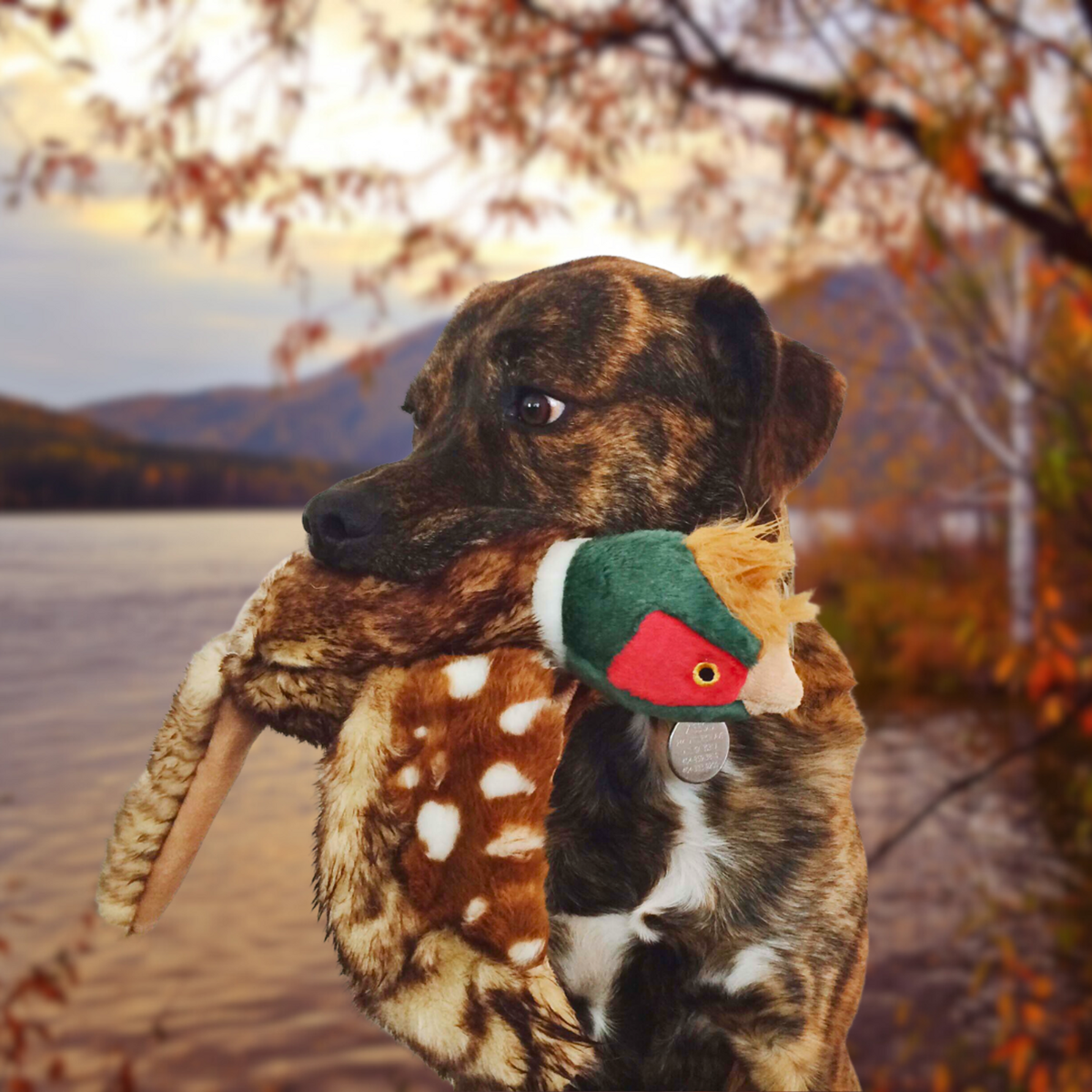 Fluff &amp; Tuff Ike Pheasant Dog Toy