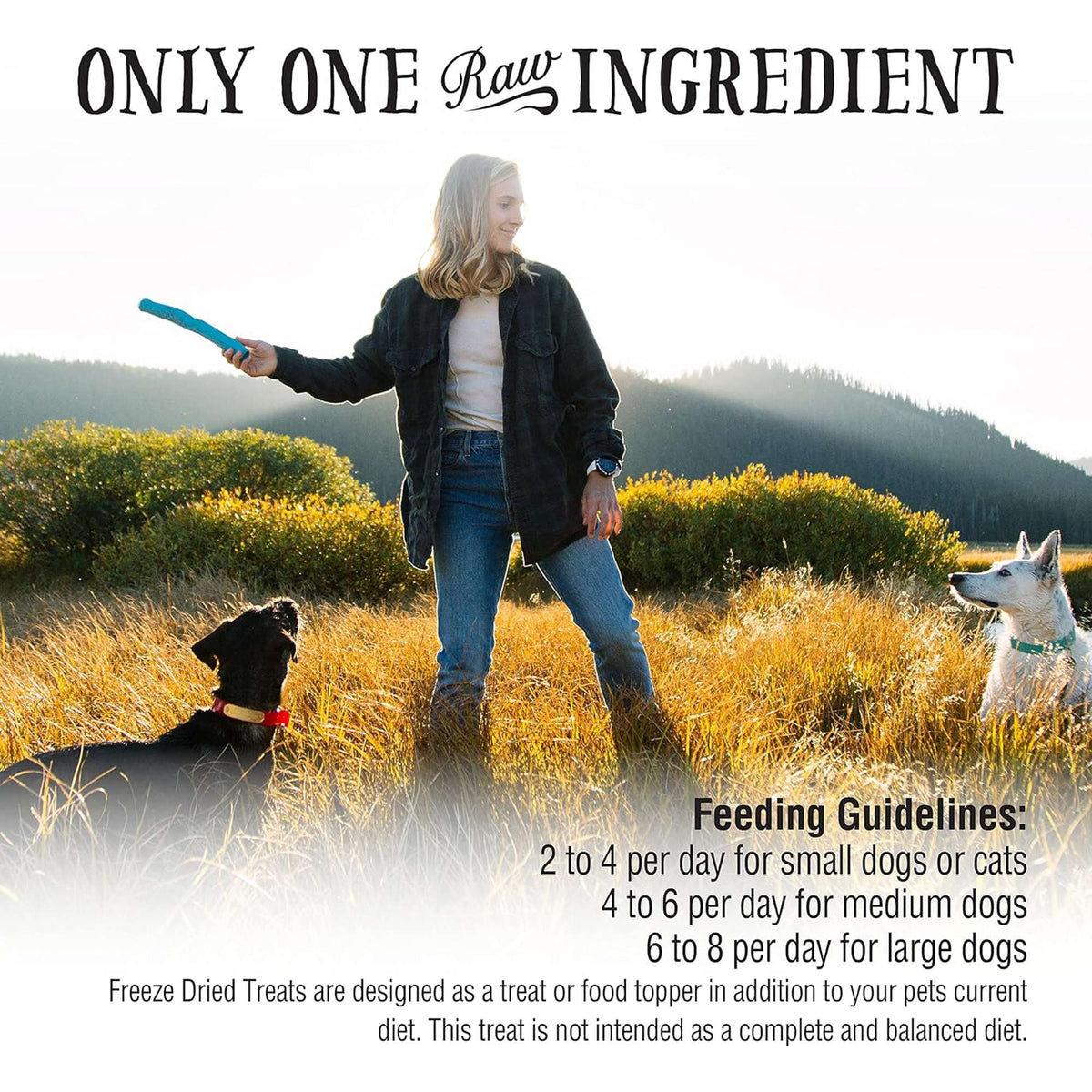 Northwest Naturals Raw Rewards Freeze-Dried Pork Hearts Dog &amp; Cat Treats