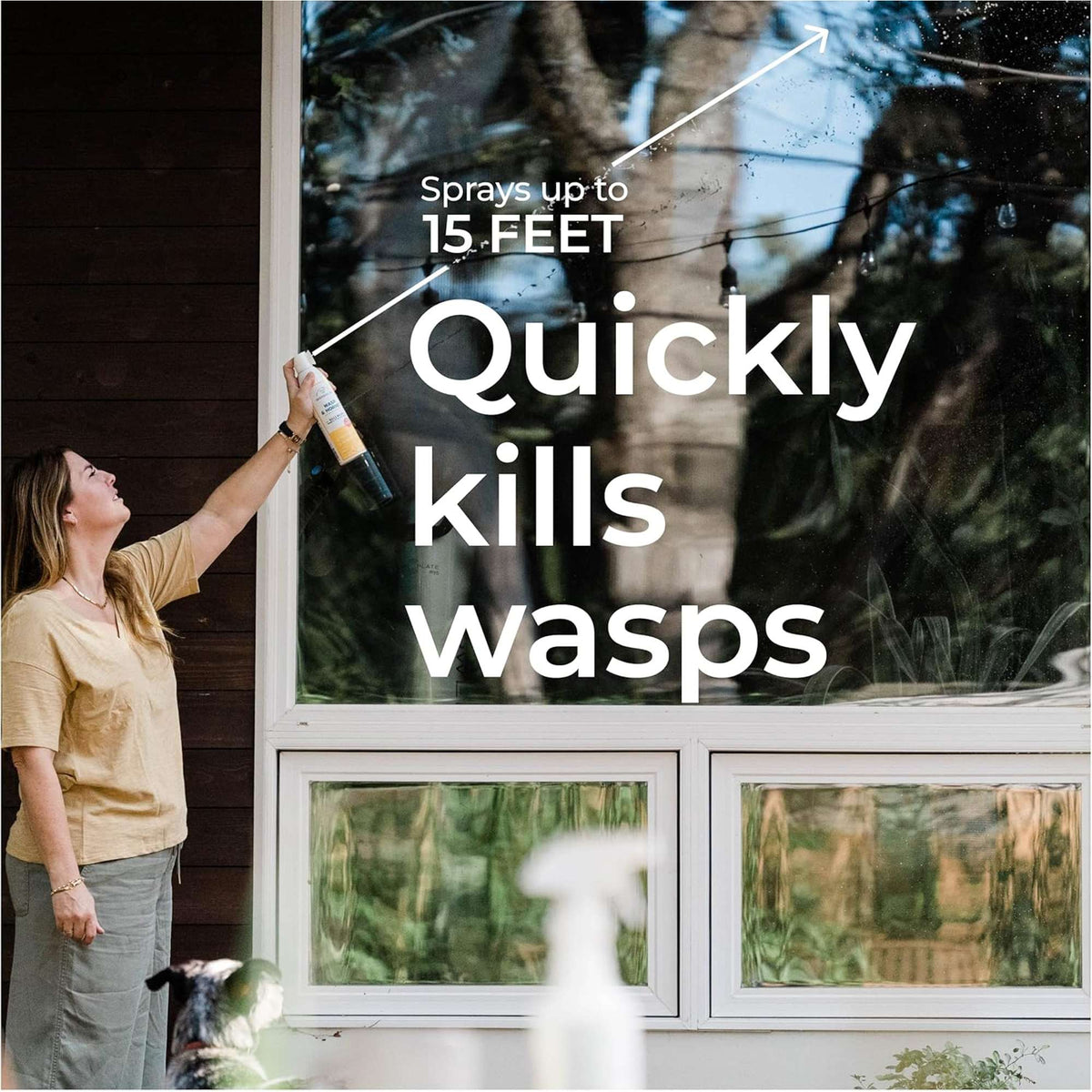 Wondercide Wasp & Hornet Porch + Patio Spray