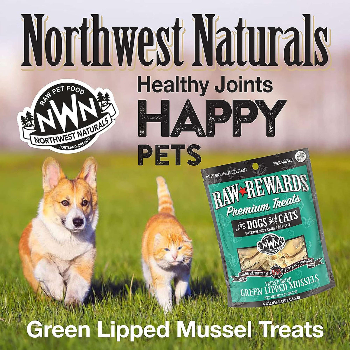 Northwest Naturals Raw Rewards Freeze-Dried Green Lipped Mussel Dog &amp; Cat Treats