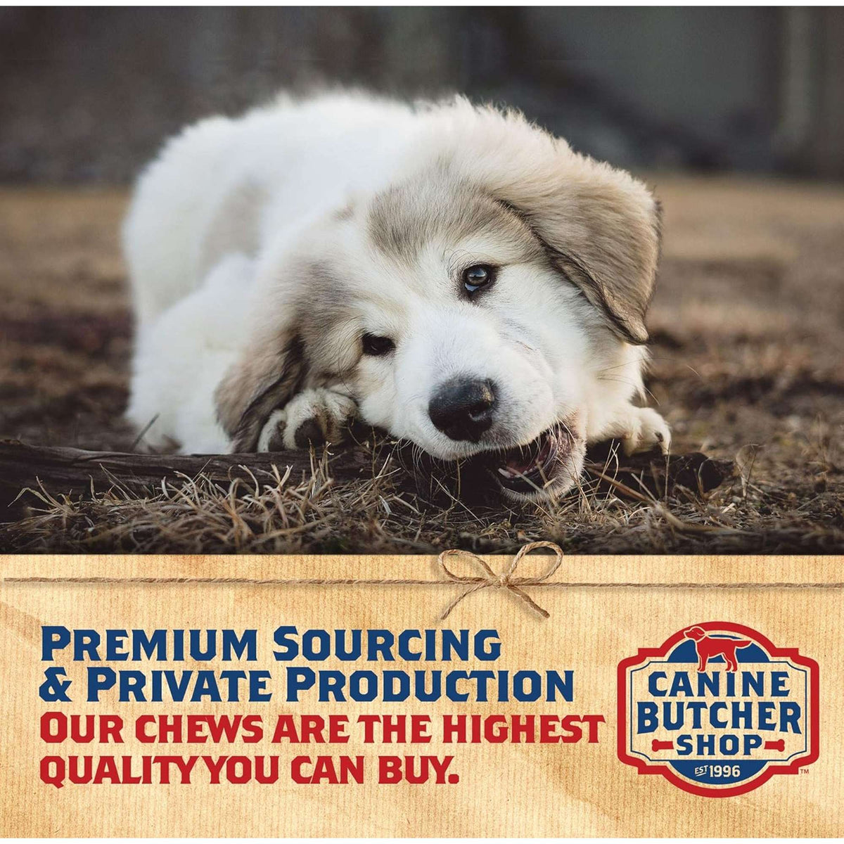 Canine Butcher Shop USDA Pig Ear Dog Chew