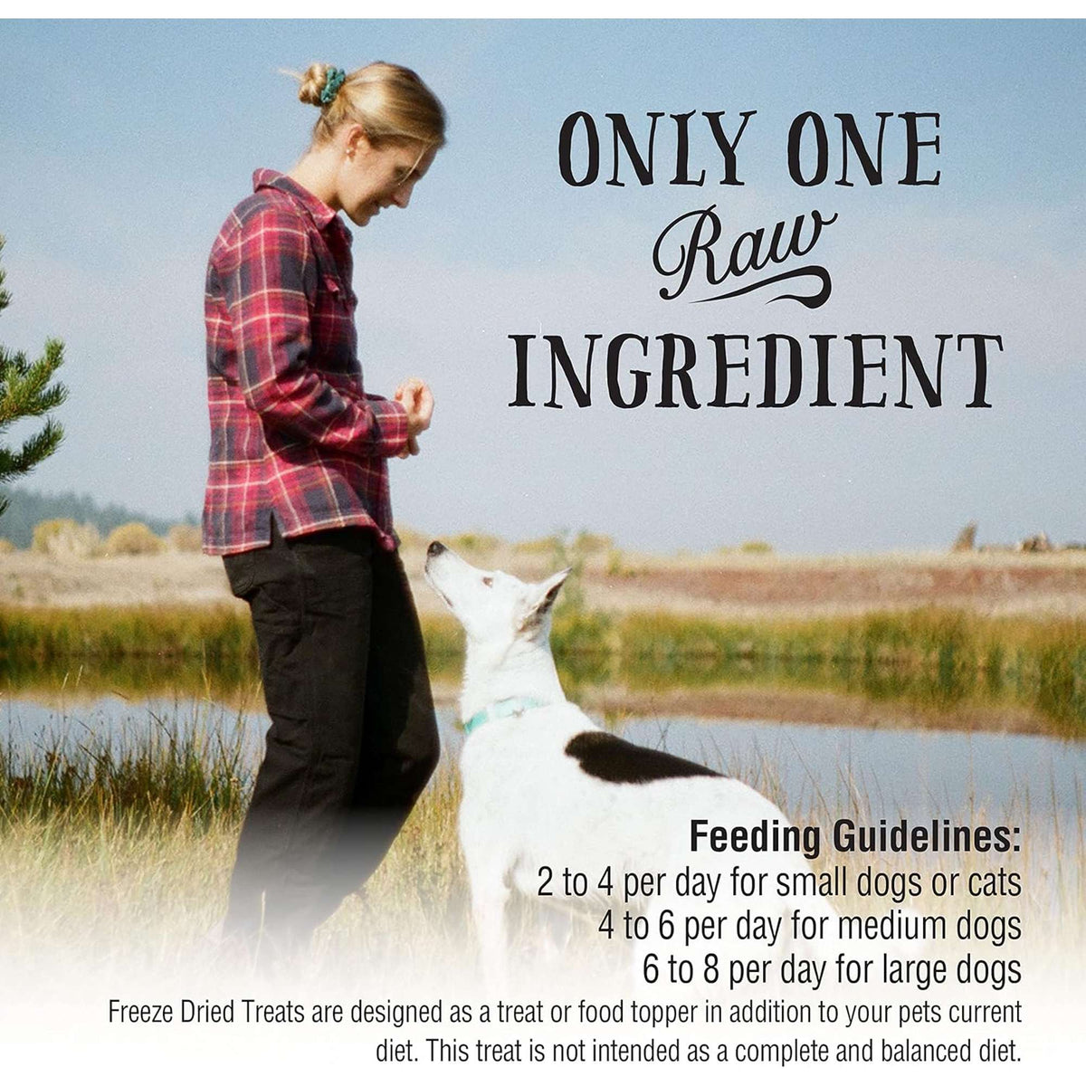 Northwest Naturals Raw Rewards Freeze-Dried Chicken Hearts Dog &amp; Cat Treats