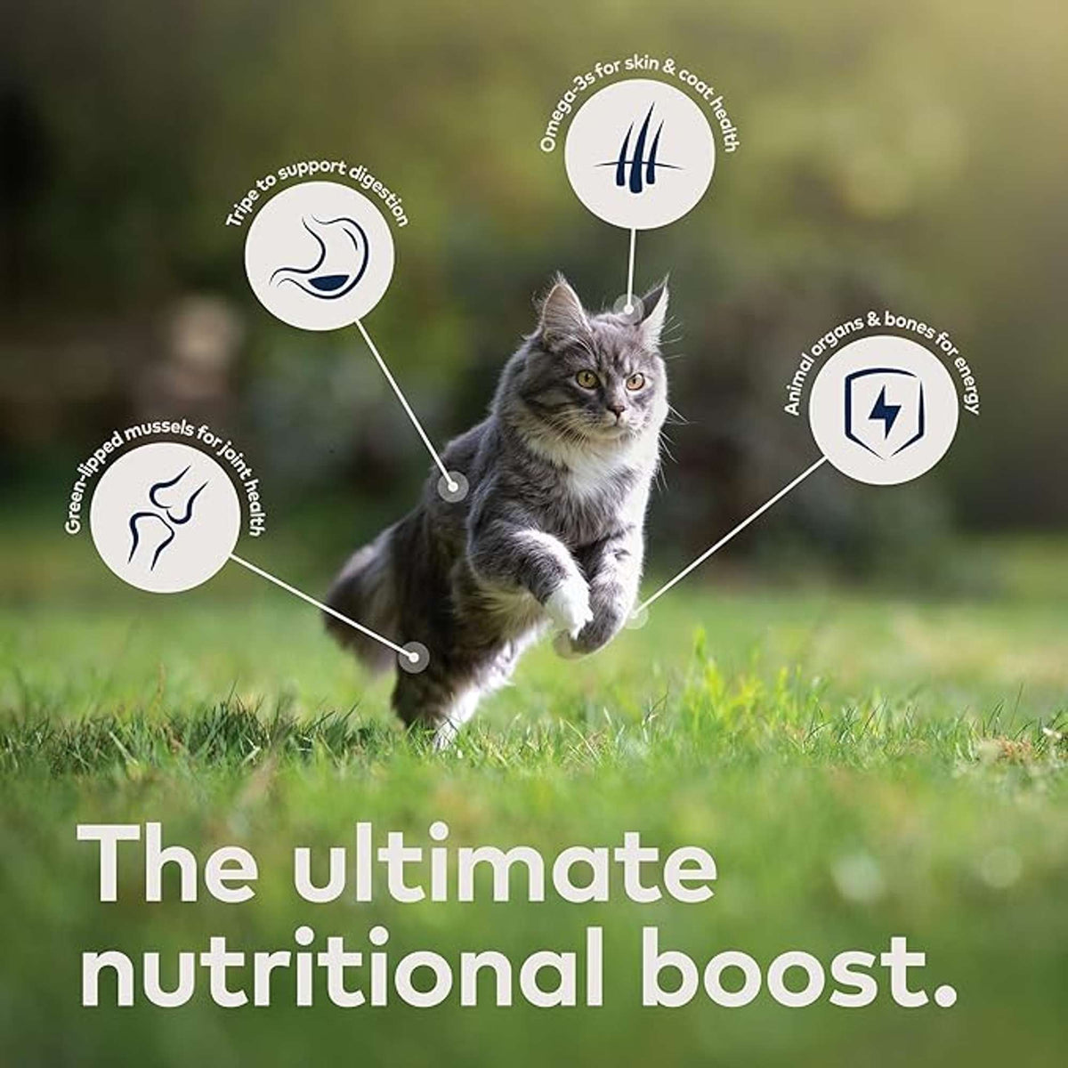 Ziwi Peak Variety Pack Chicken, Lamb, and Mackerel &amp; Lamb Canned Cat Food