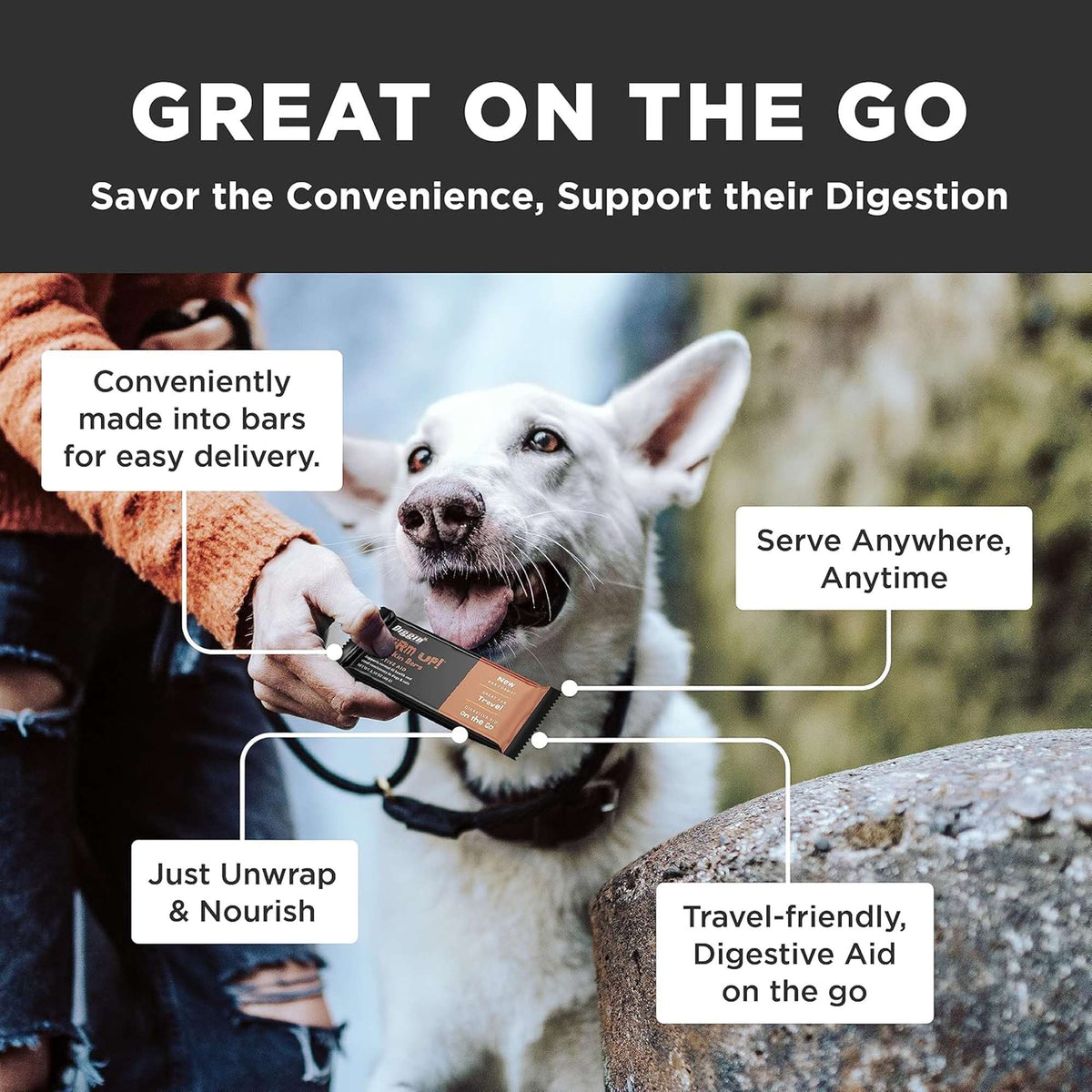 Diggin Your Dog Firm Up! Pumpkin Bars Digestive Aid Dog &amp; Cat Supplement