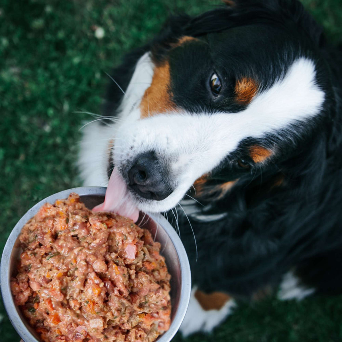 Oma&#39;s Pride Signature Canine Mix Chicken &amp; Veggie Frozen Raw Dog Food