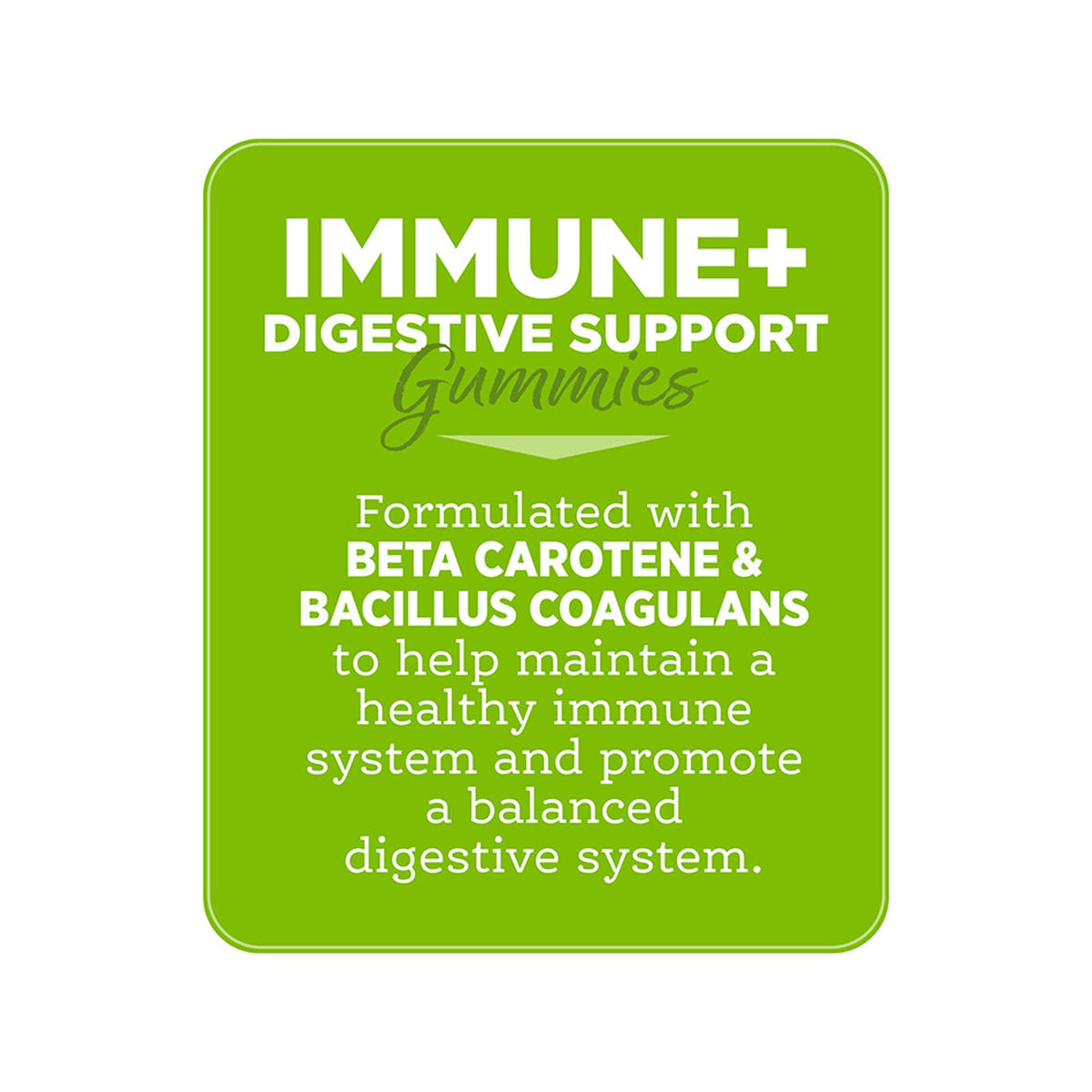 NutriSource Amplifull Immune + Digestive Support Gummies Dog Supplements