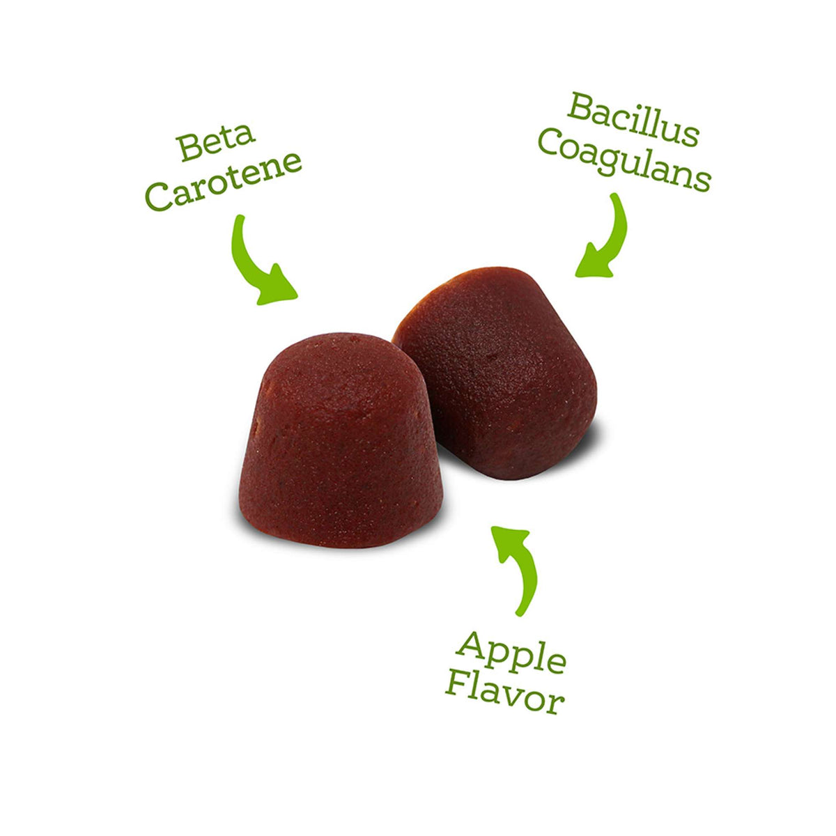 NutriSource Amplifull Immune + Digestive Support Gummies Dog Supplements