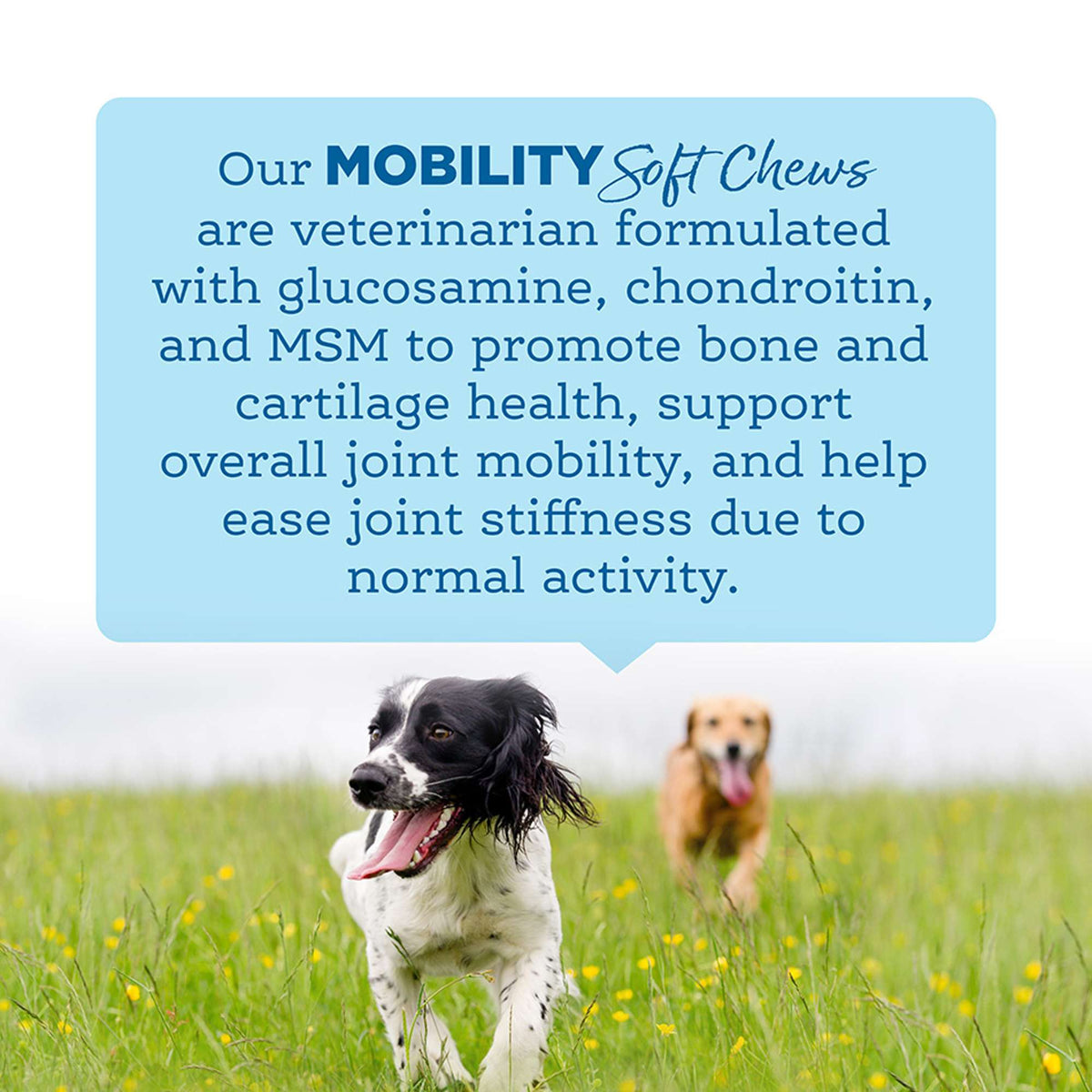 NutriSource Amplifull Mobility Soft Chews Dog Supplement