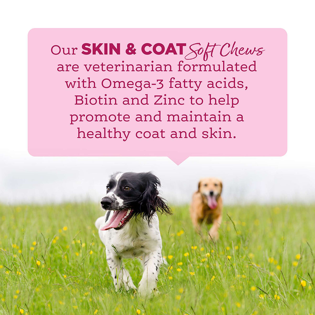 NutriSource Amplifull Skin &amp; Coat Soft Chews Dog Supplements