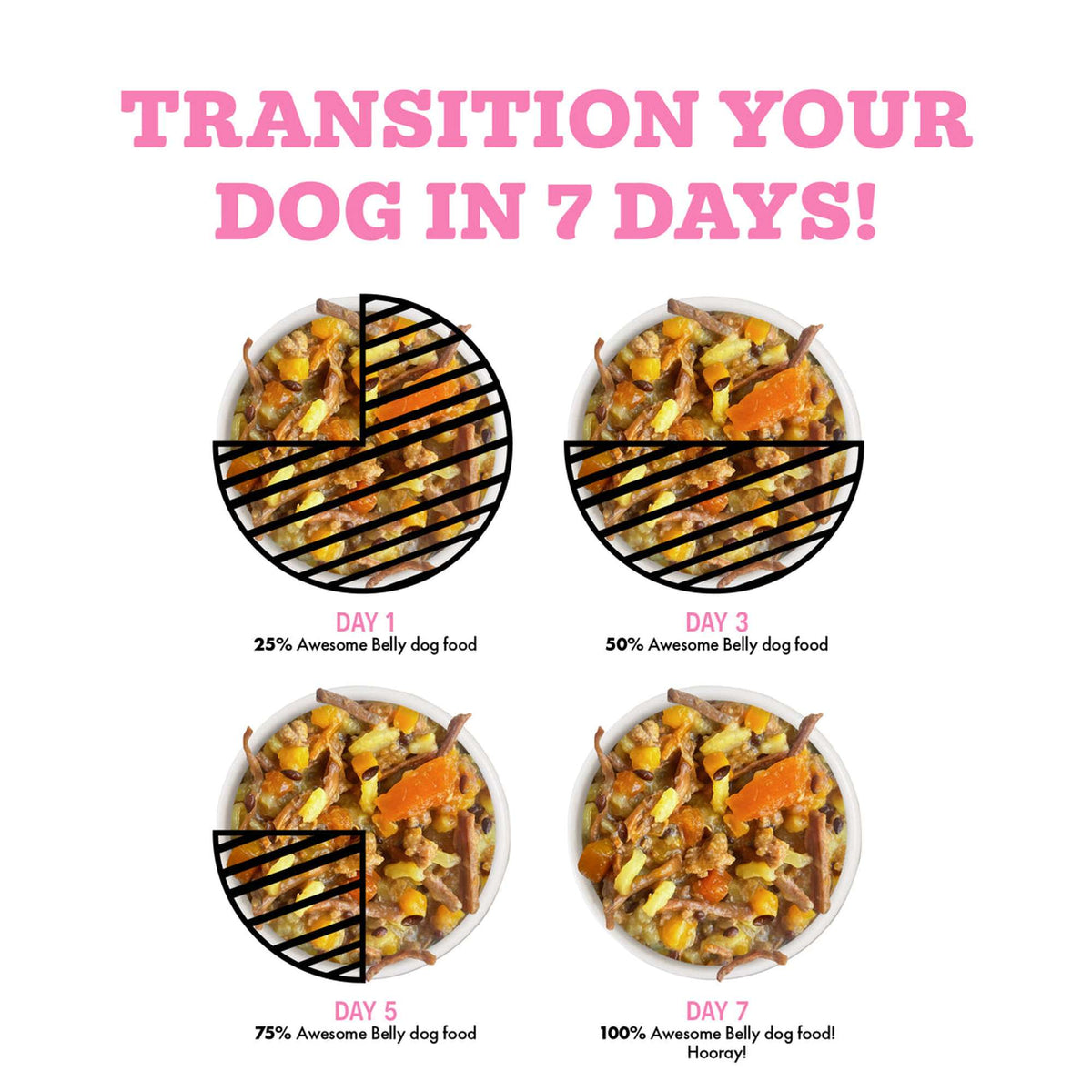 Weruva Awesome Belly Chicken Breast, White Rice &amp; Pumpkin Recipe Canned Dog Food