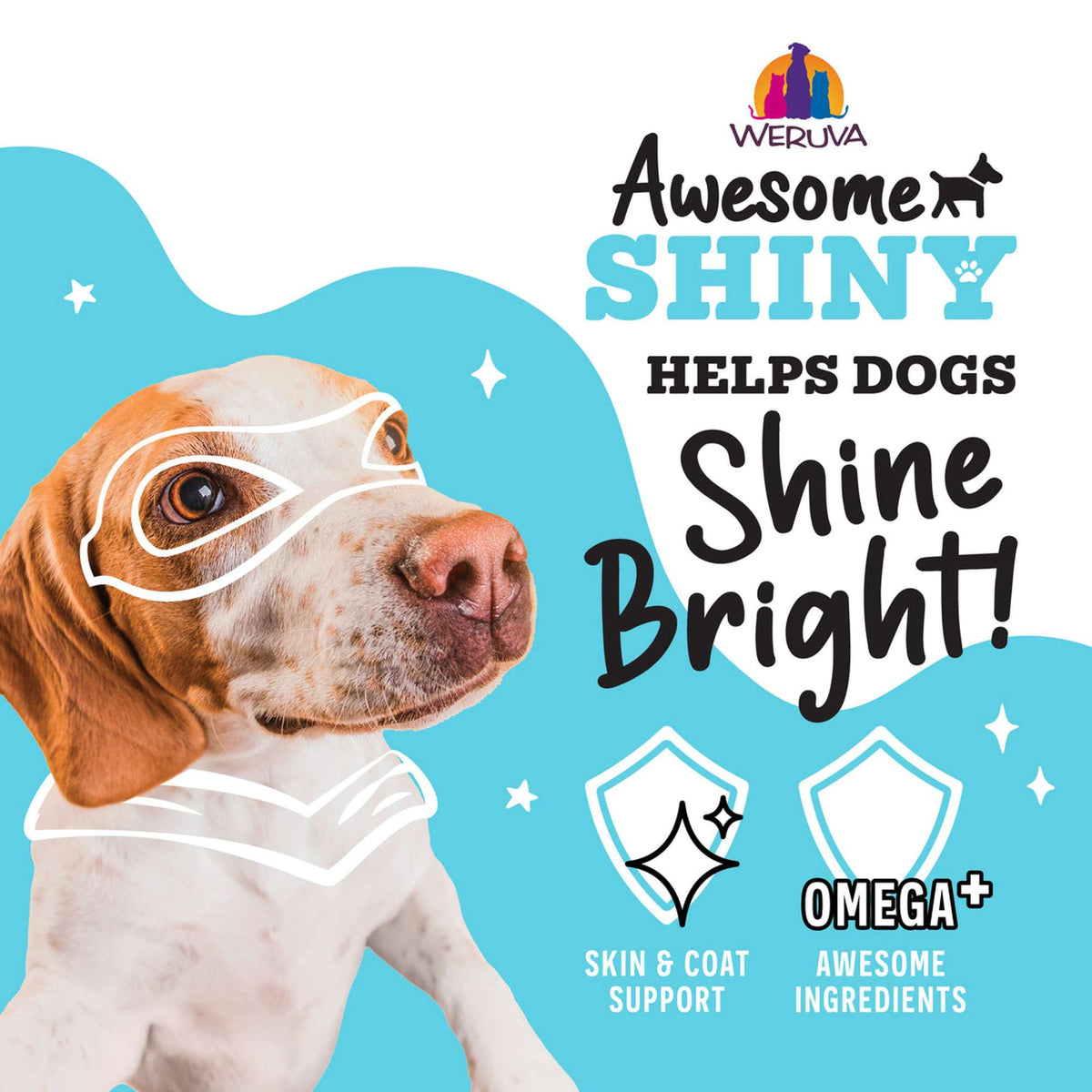 Weruva Awesome Shiny Skin &amp; Coat Chicken Breast &amp; Brown Rice Recipe with Flaxseed Canned Dog Food