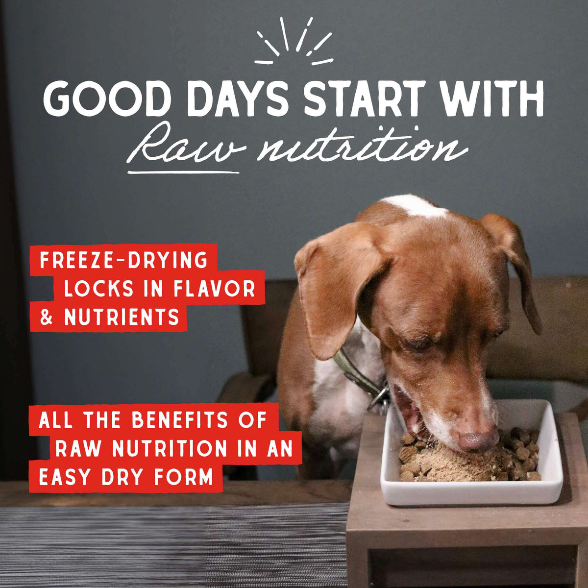 Stella &amp; Chewy&#39;s Marie&#39;s Magical Breakfast Sprinkles Breakfast Burger Recipe Freeze-Dried Meal Topper for Dogs
