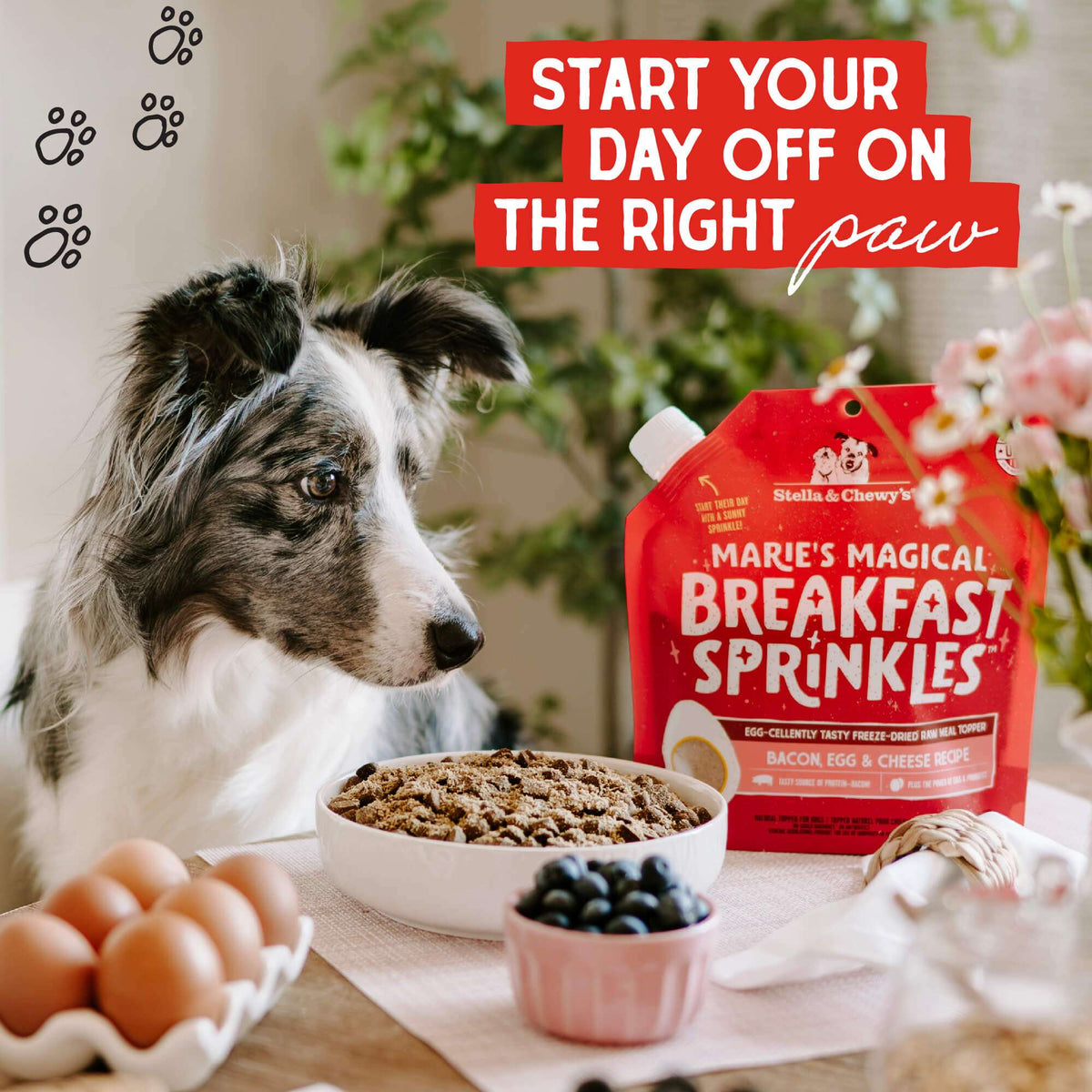 Stella &amp; Chewy&#39;s Marie&#39;s Magical Breakfast Sprinkles Bacon, Egg &amp; Cheese Freeze-Dried Meal Topper for Dogs