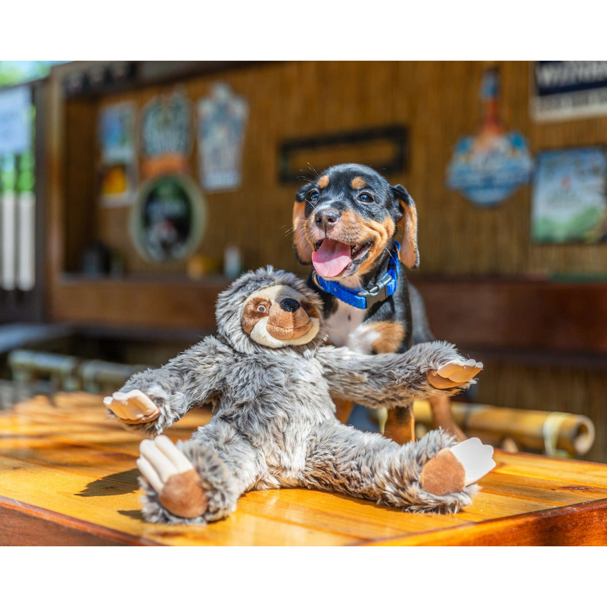 Fluff &amp; Tuff Sonny Sloth Dog Toy