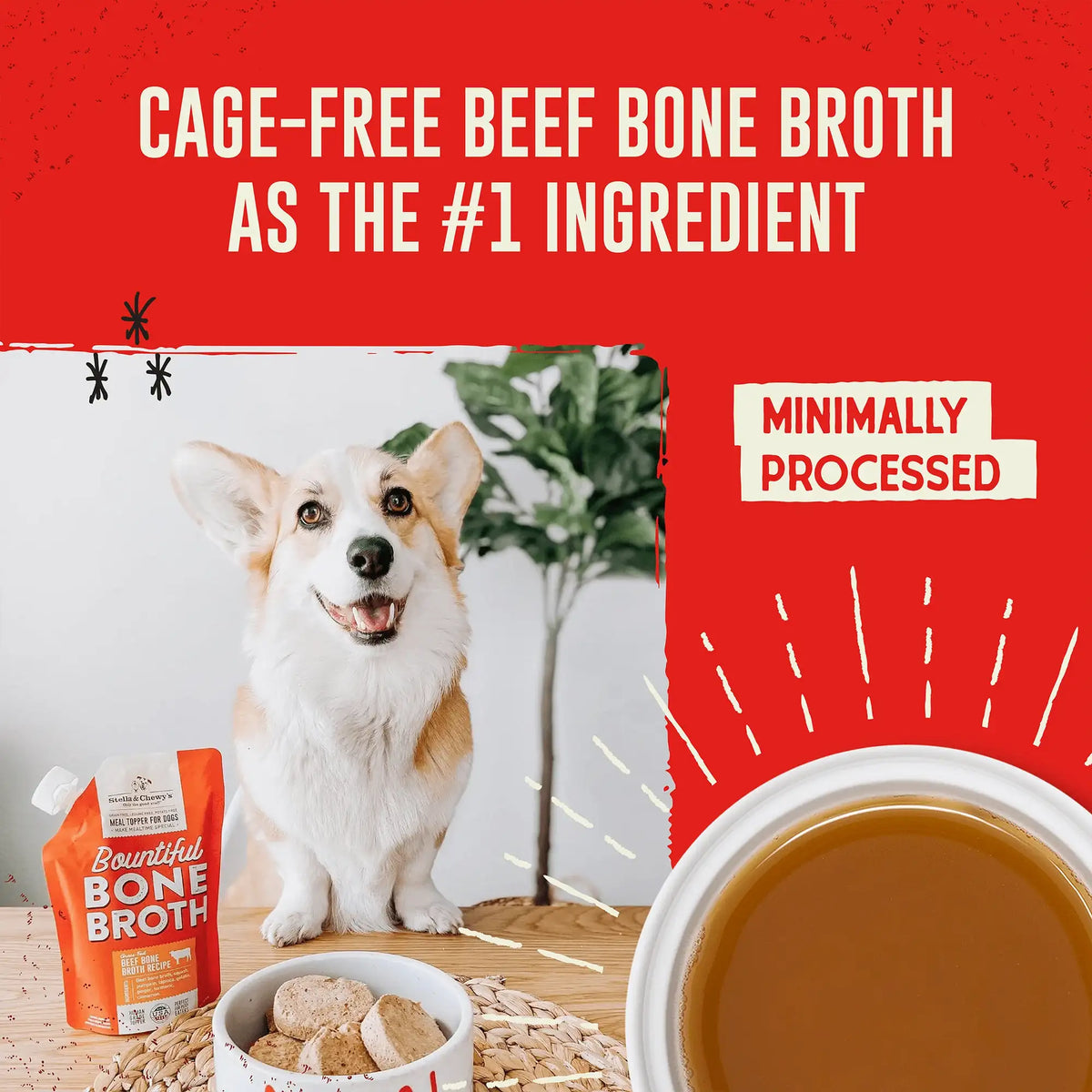 Stella &amp; Chewy&#39;s Bountiful Bone Broth Beef for Dogs