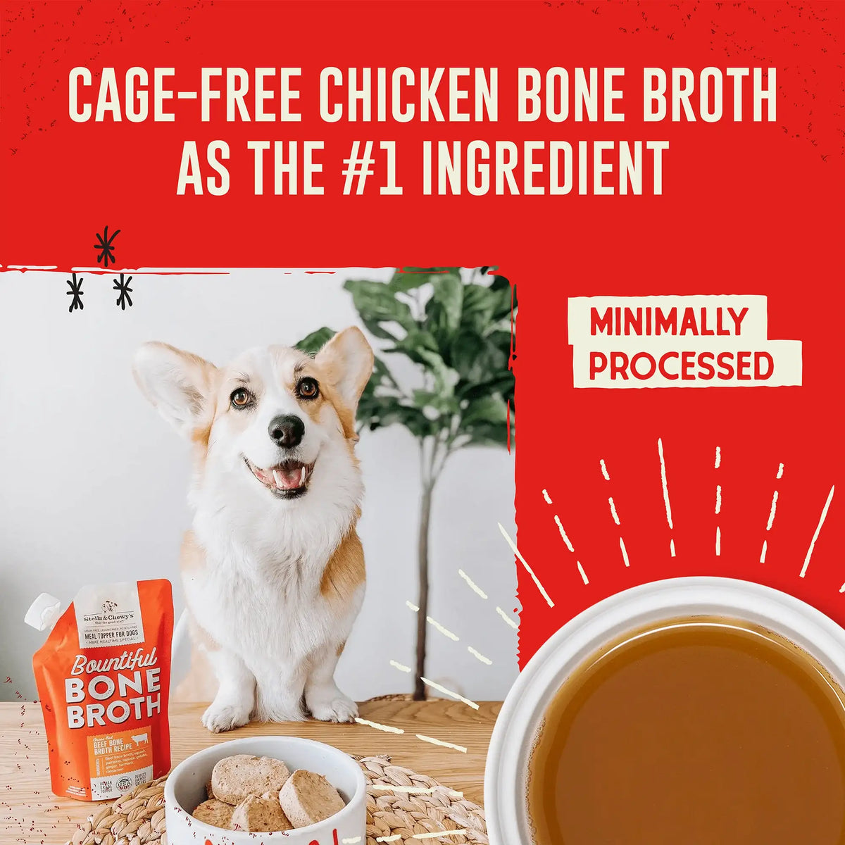 Stella &amp; Chewy&#39;s Bountiful Bone Broth Chicken for Dogs