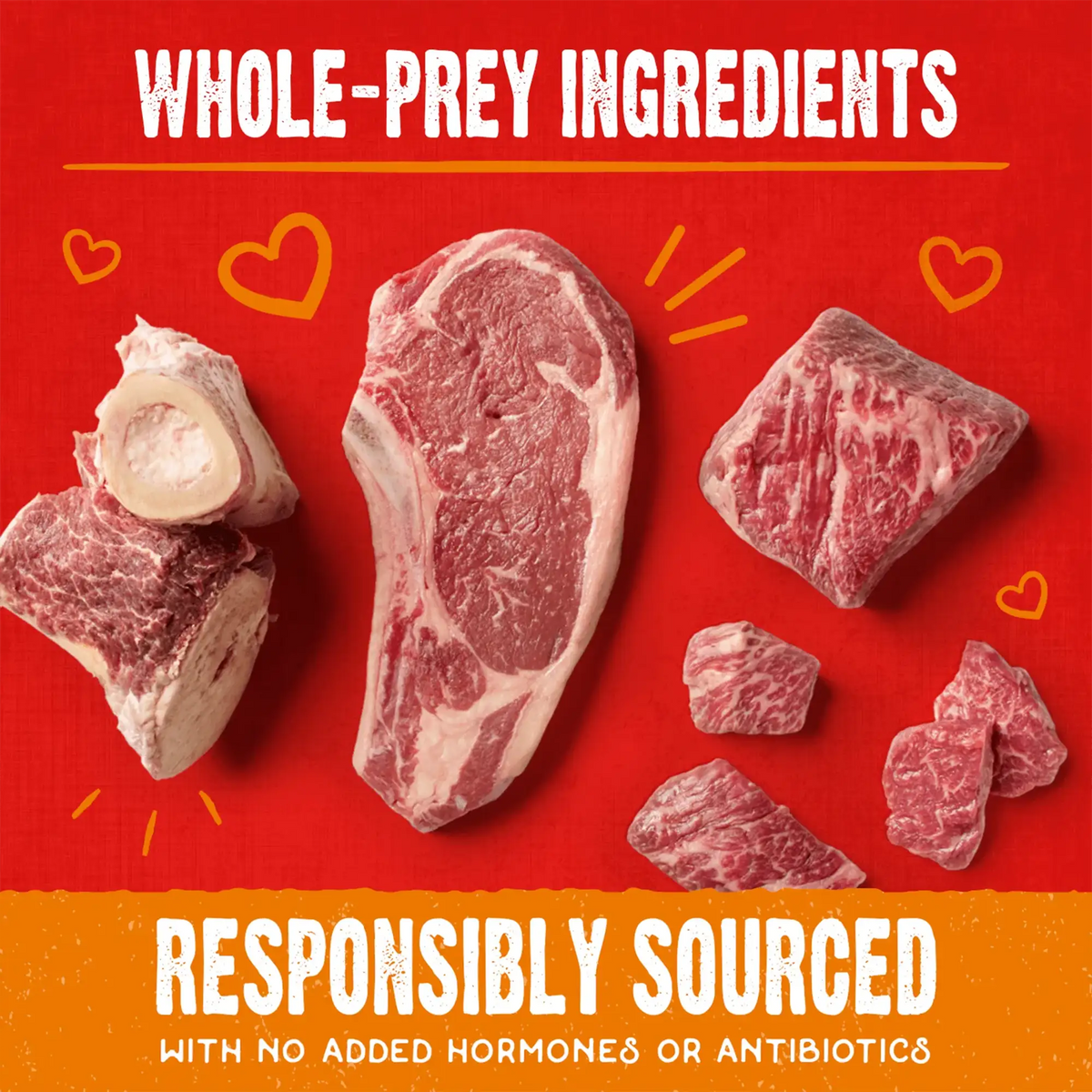 Stella &amp; Chewy&#39;s Freeze-Dried Raw Coated Biscuits Beef Dog Treats