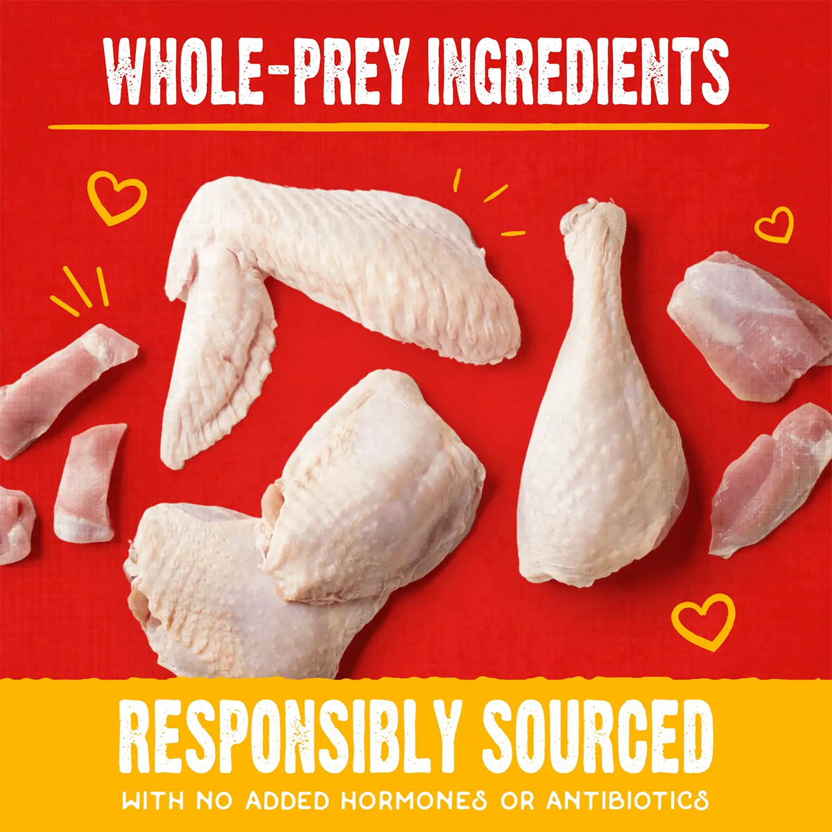 Stella &amp; Chewy&#39;s Freeze- Dried Raw Coated Biscuits Chicken Dog Treats