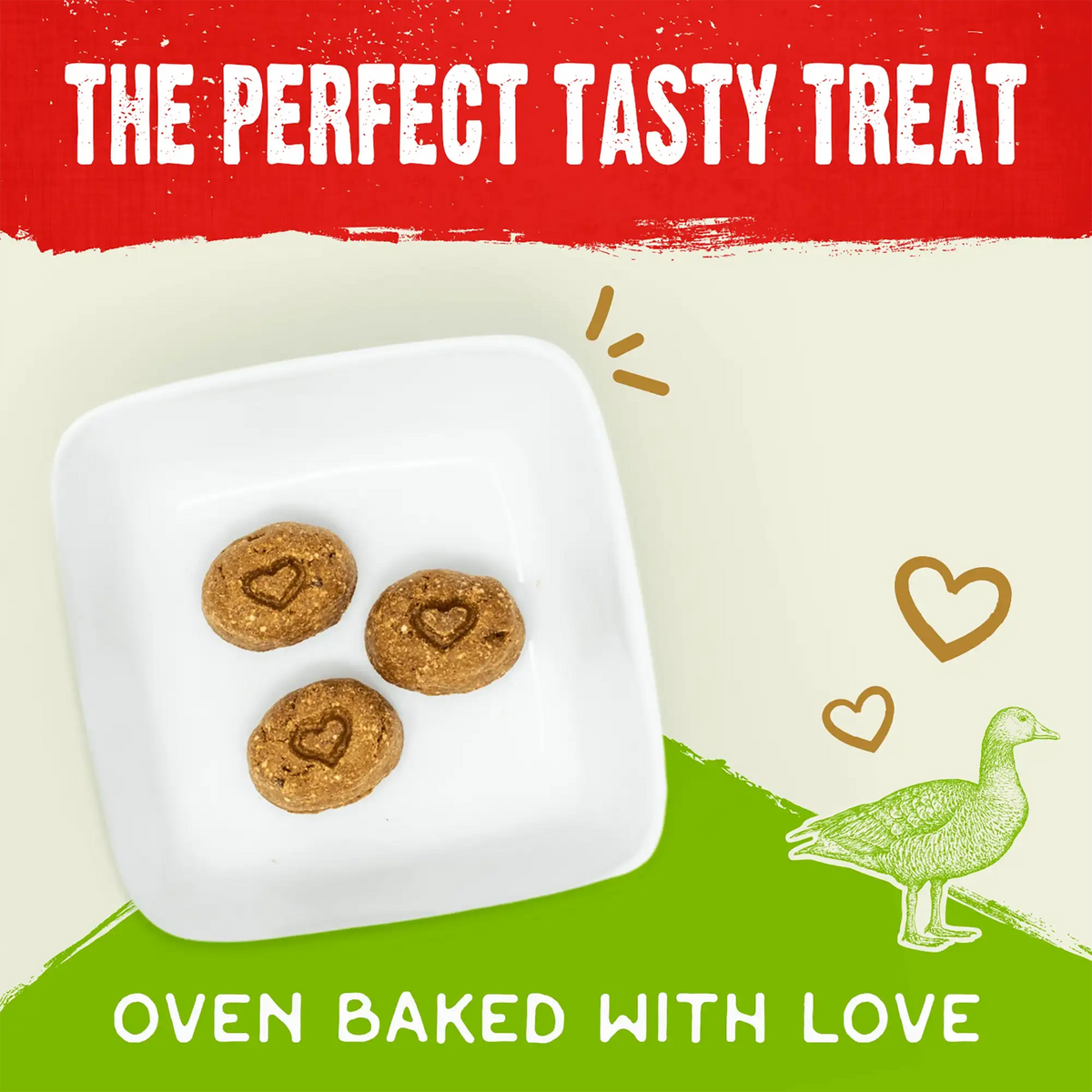 Stella &amp; Chewy&#39;s Freeze-Dried Raw Coated Biscuits Duck Dog Treats