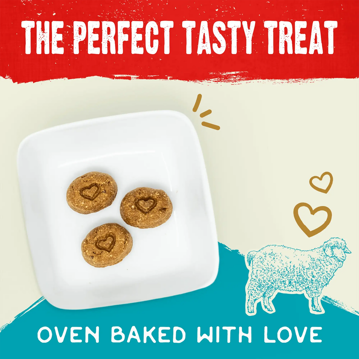 Stella &amp; Chewy&#39;s Freeze-Dried Raw Coated Biscuits Lamb Dog Treats