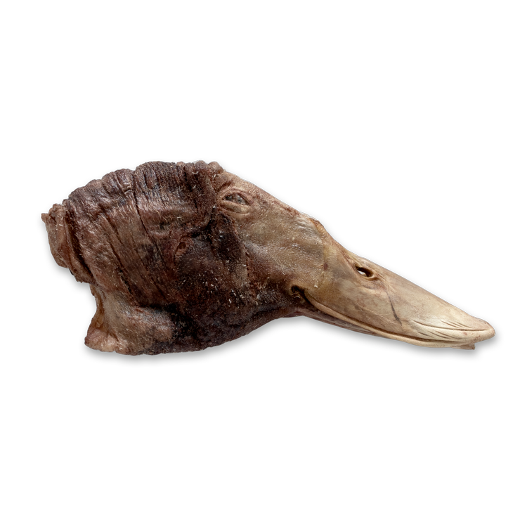 The Bones &amp; Co Freeze-Dried Raw Duck Heads Dog &amp; Cat Chews