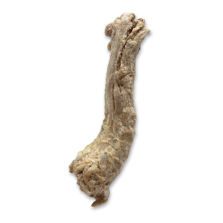 The Bones &amp; Co Freeze-Dried Raw Duck Necks Dog &amp; Cat Chews
