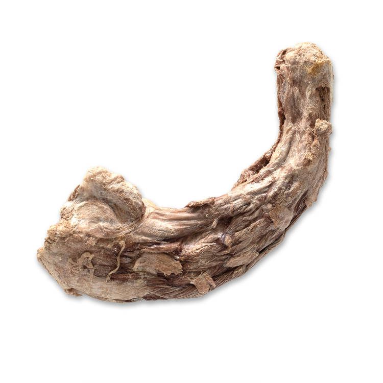 The Bones &amp; Co Freeze-Dried Raw Turkey Neck Dog &amp; Cat Chews