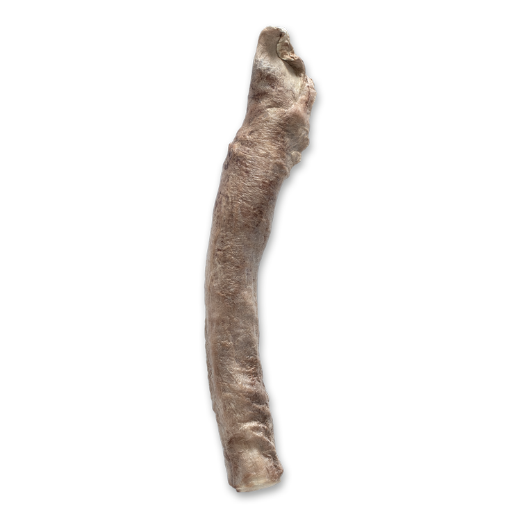 The Bones &amp; Co Freeze-Dried Raw Bully Sticks Dog &amp; Cat Treats