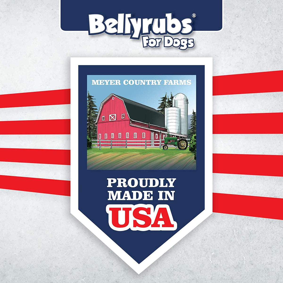 BellyRubs Freeze-Dried Wild Salmon Dog Treats