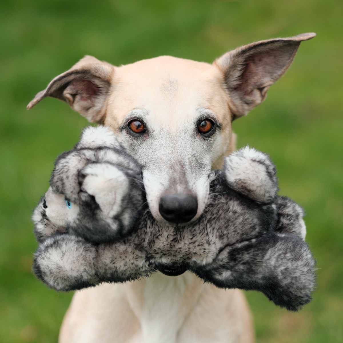 Fluff &amp; Tuff Blanca Wolf Dog Toy