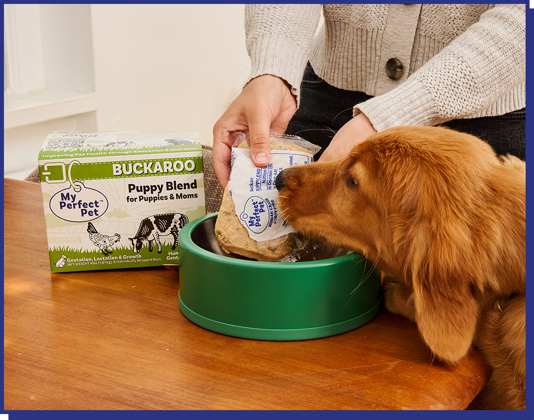 My Perfect Pet Gently Cooked Buckaroo Chicken &amp; Beef Puppy Blend Frozen Dog Food