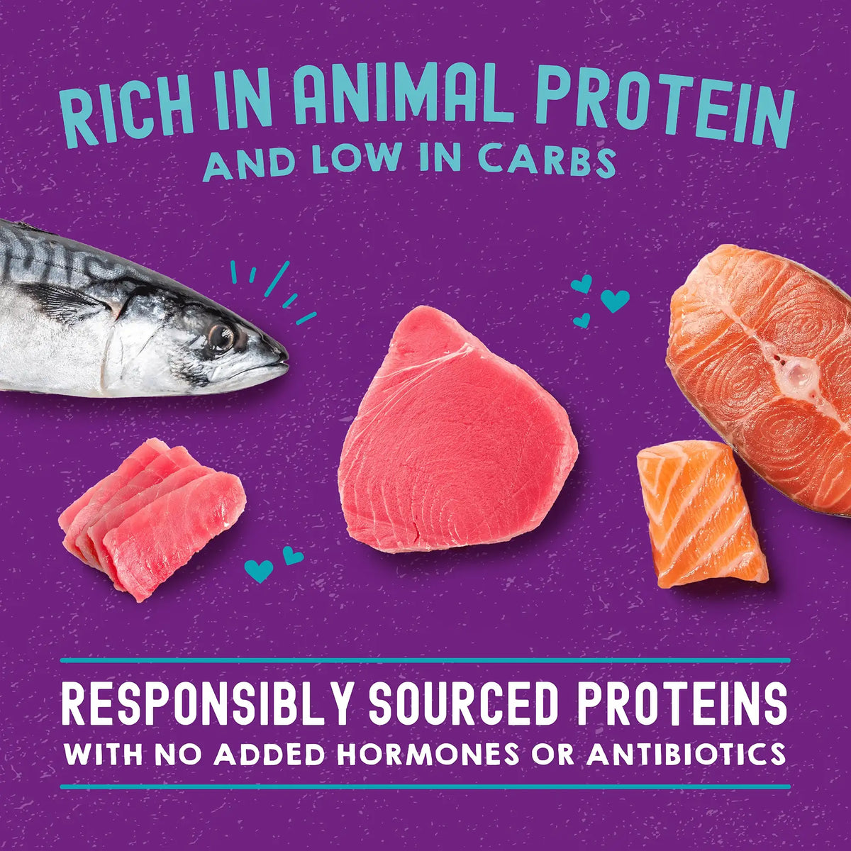 Stella &amp; Chewy&#39;s Savory Shreds Carnivore Cravings Salmon, Tuna &amp; Mackerel Cat Food