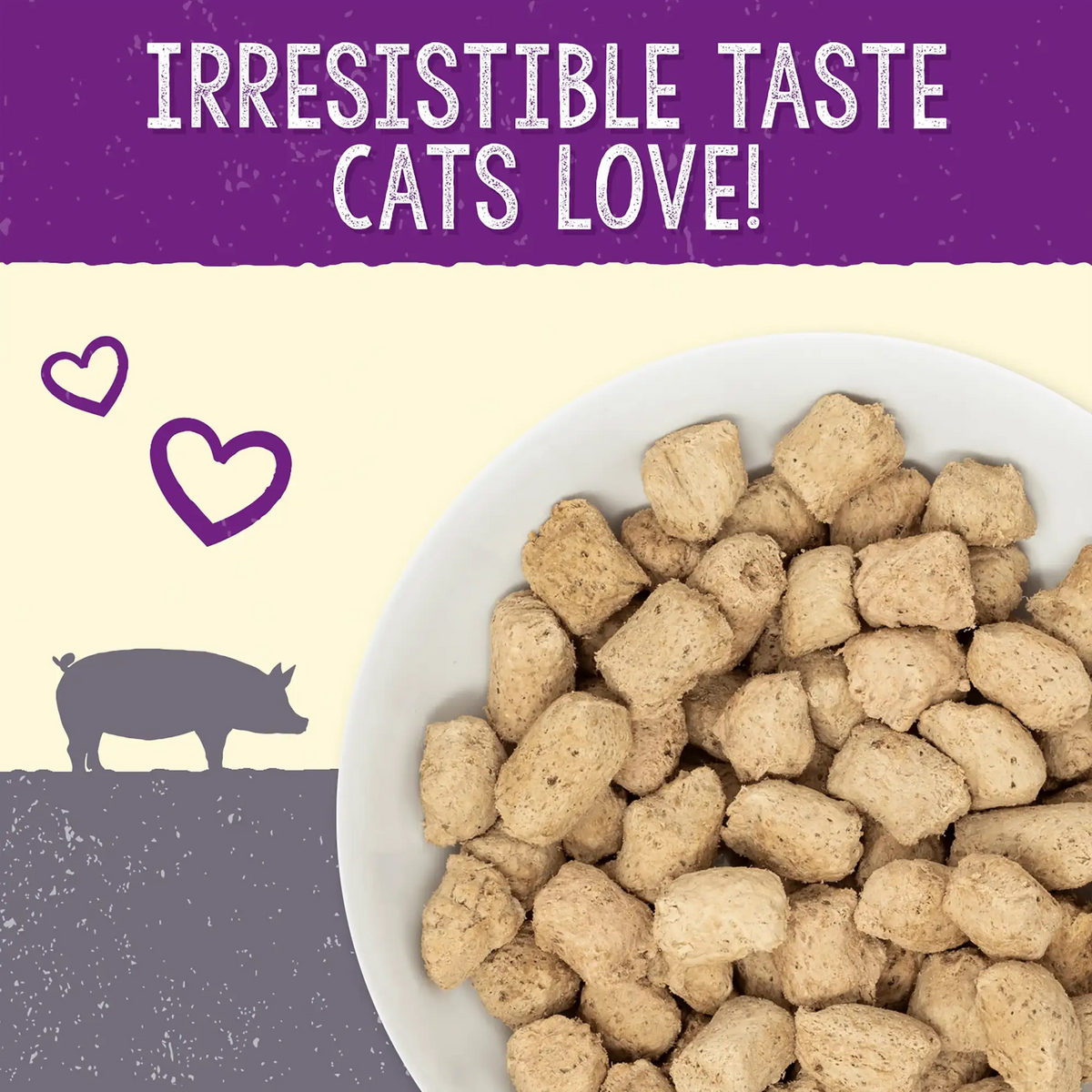Stella &amp; Chewy&#39;s Freeze-Dried Raw Plate Lickin Pork Dinner Morsels Cat Food