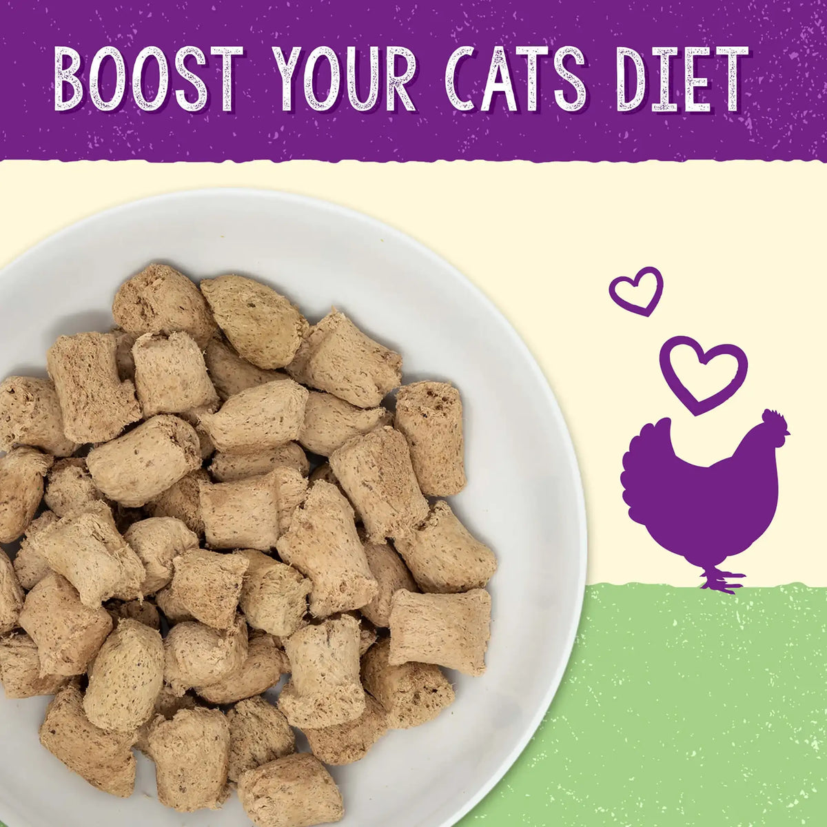 Stella &amp; Chewy&#39;s Freeze-Dried Raw Stella&#39;s Solutions Digestive Boost Chicken Meal Mixer for Cats