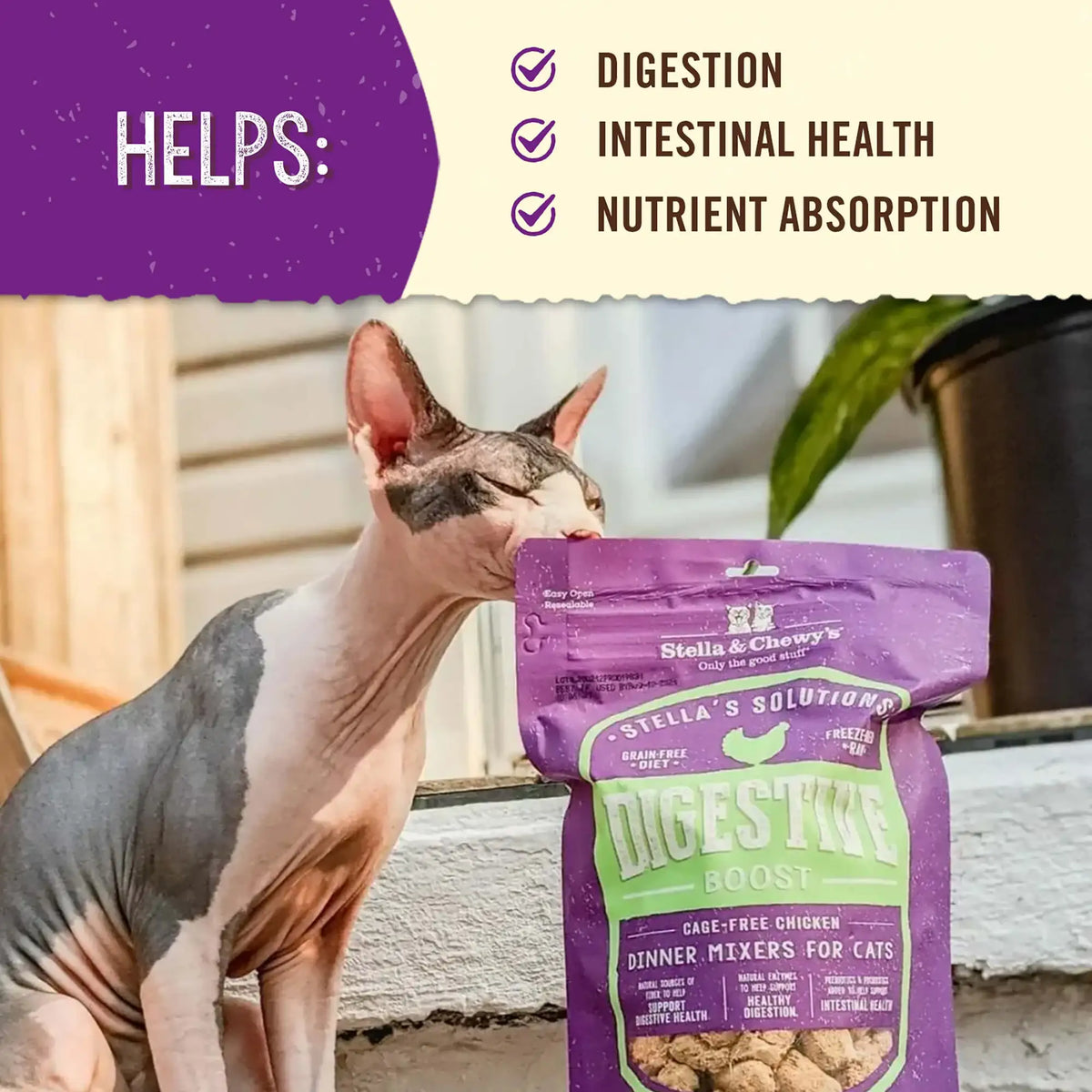 Stella &amp; Chewy&#39;s Freeze-Dried Raw Stella&#39;s Solutions Digestive Boost Chicken Meal Mixer for Cats