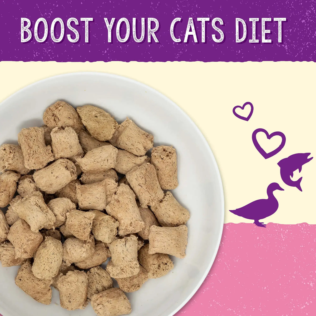 Stella &amp; Chewy&#39;s Freeze-Dried Raw Stella&#39;s Solutions Skin &amp; Coat Boost Salmon Meal Mixer for Cats