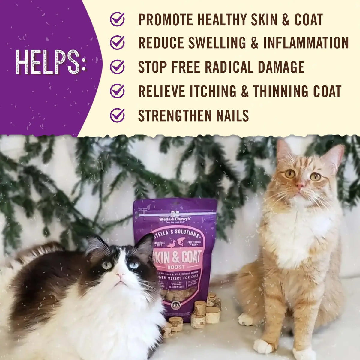 Stella &amp; Chewy&#39;s Freeze-Dried Raw Stella&#39;s Solutions Skin &amp; Coat Boost Salmon Meal Mixer for Cats